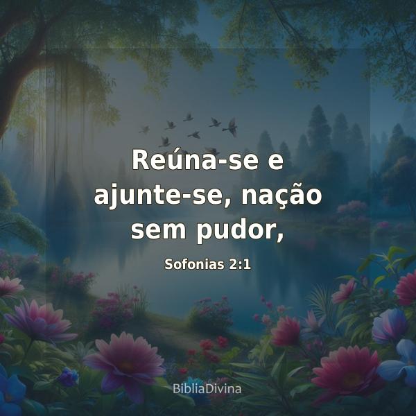 Sofonias 2:1