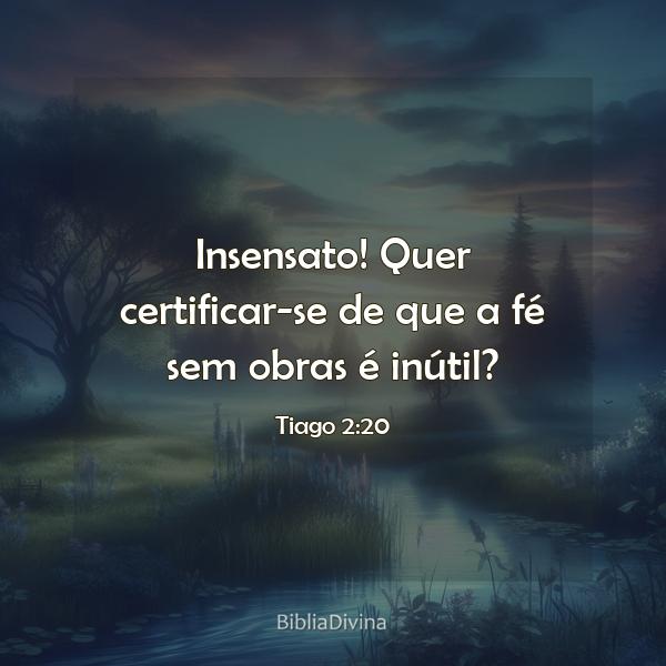 Tiago 2:20