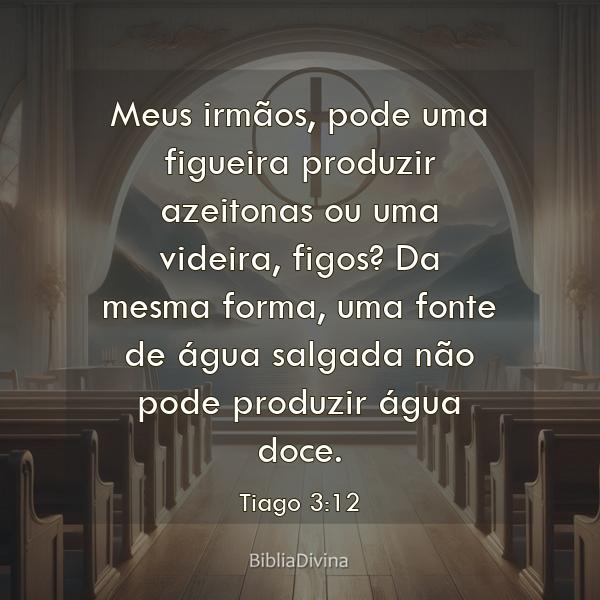 Tiago 3:12