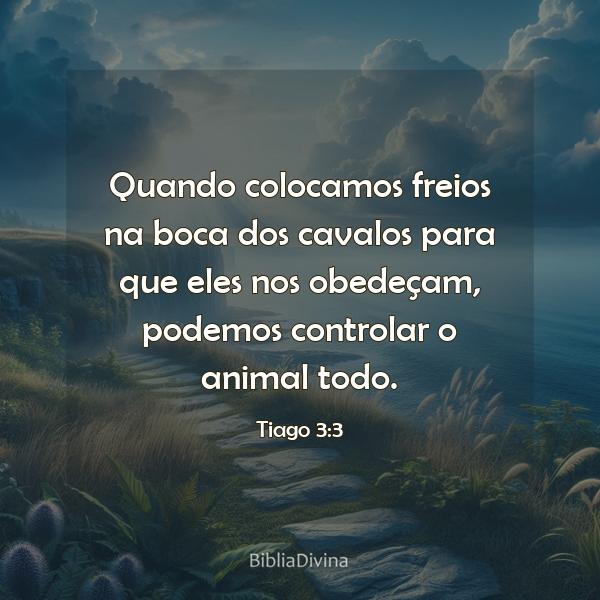 Tiago 3:3