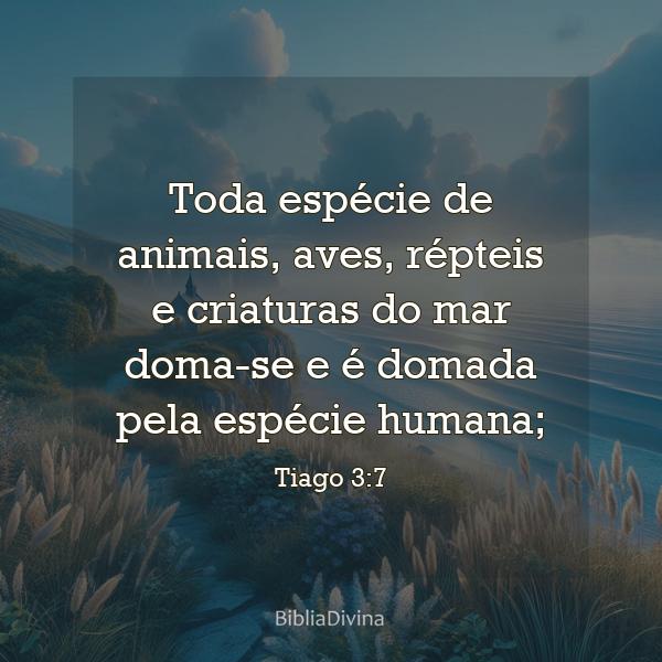 Tiago 3:7