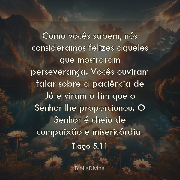 Tiago 5:11