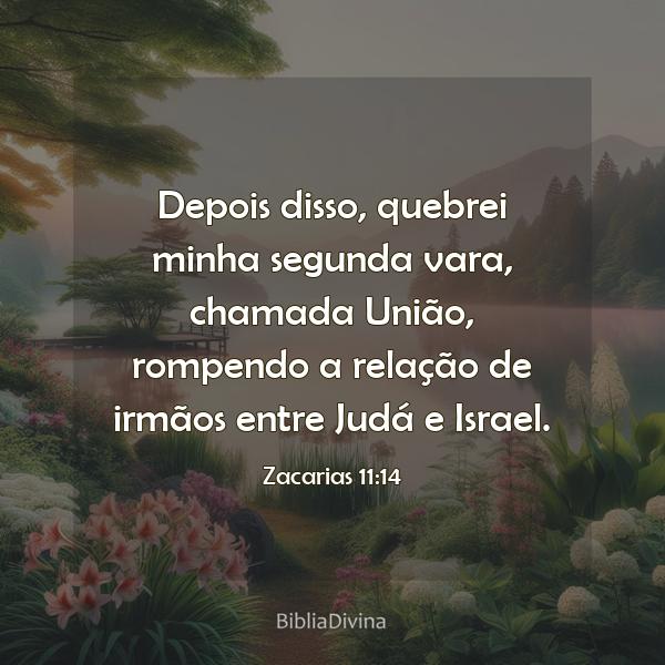 Zacarias 11:14