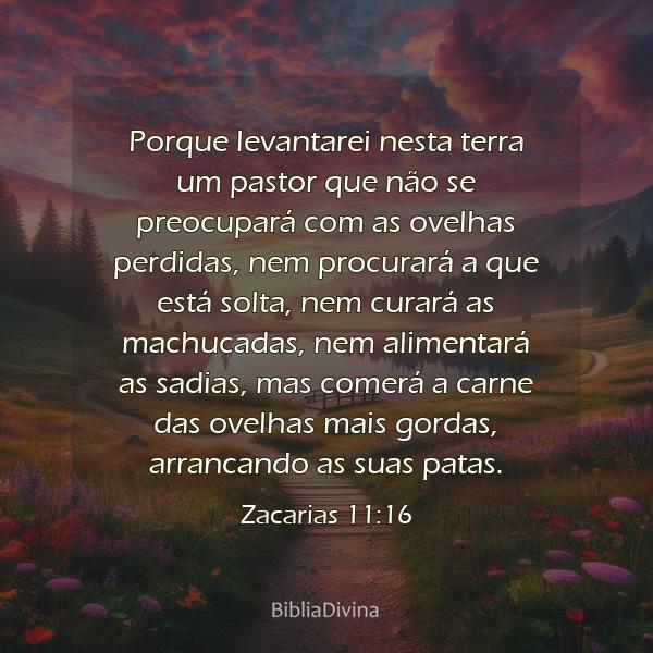 Zacarias 11:16