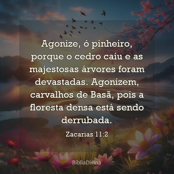 Zacarias 11:2