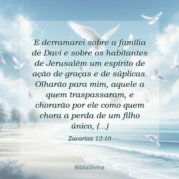 Zacarias 12:10