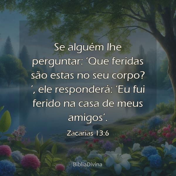 Zacarias 13:6