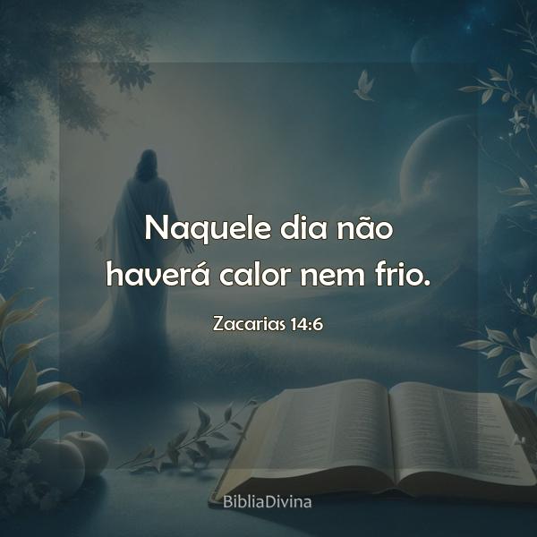 Zacarias 14:6