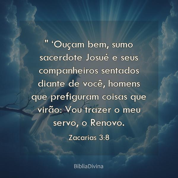 Zacarias 3:8