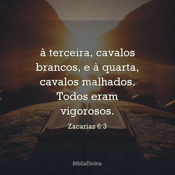 Zacarias 6:3